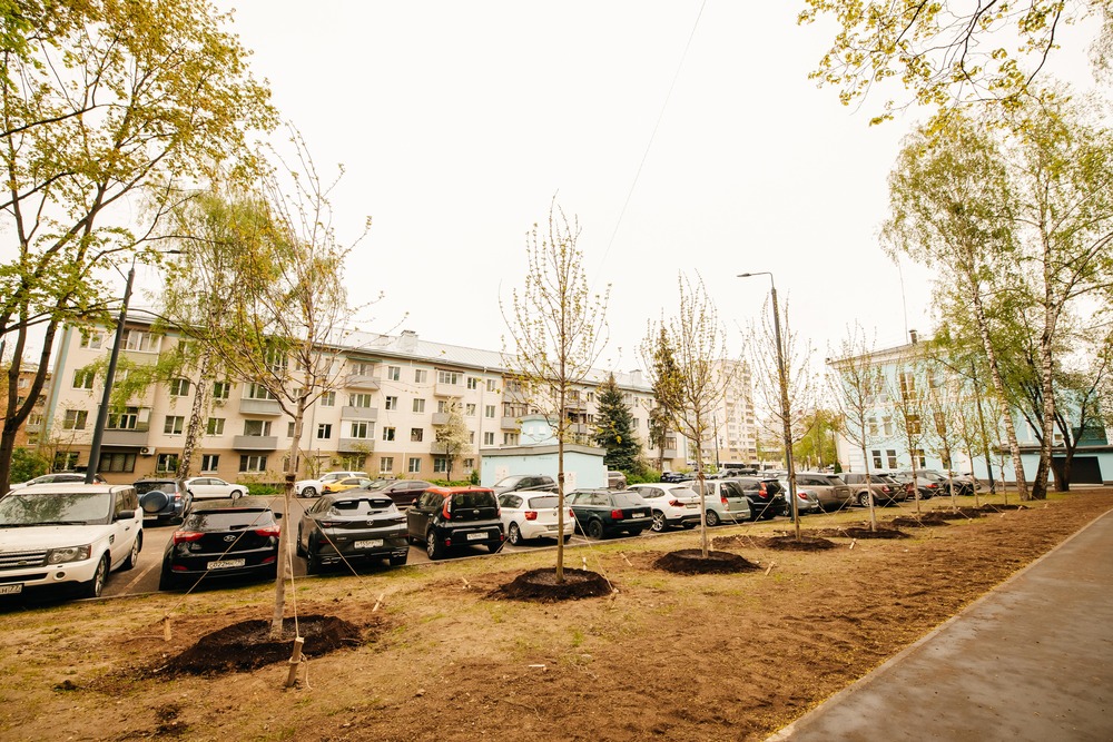 Сад Памяти в Пушкинском городском округе в Пушкинском городском округе